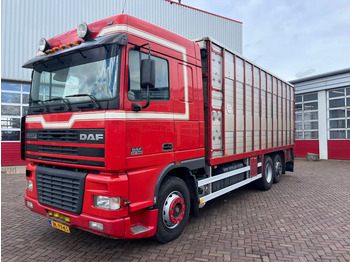 Kamion za prevoz stoke DAF XF 95 380