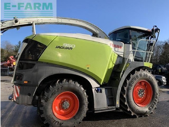 Kombajn za stočnu hranu CLAAS USED JAGUAR 950 T4: slika 5