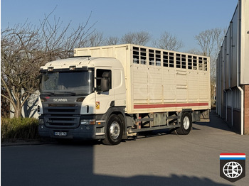 Kamion za prevoz stoke SCANIA P 400