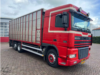 Kamion za prevoz stoke DAF XF 95 380